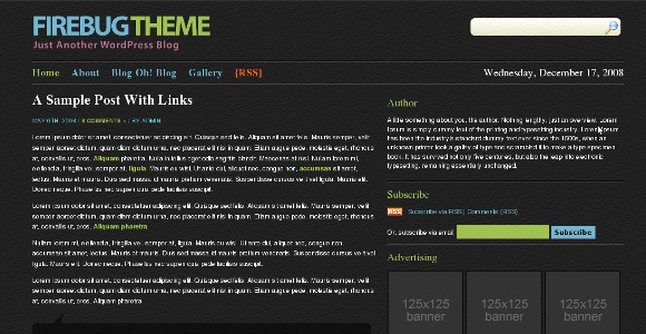 Firebug WordPress Theme