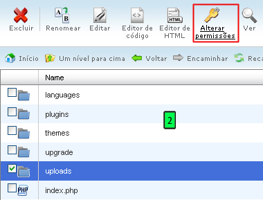 Alterar Permissões no cPanel