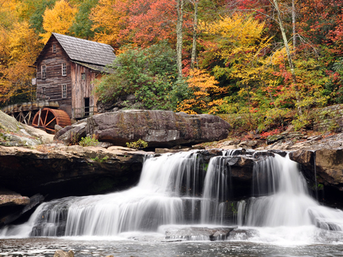 autumn mill