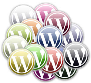 WordPress roles