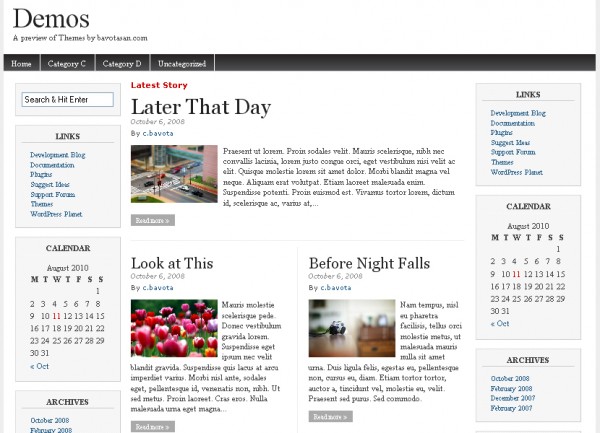 WordPress Theme Magazine Basic