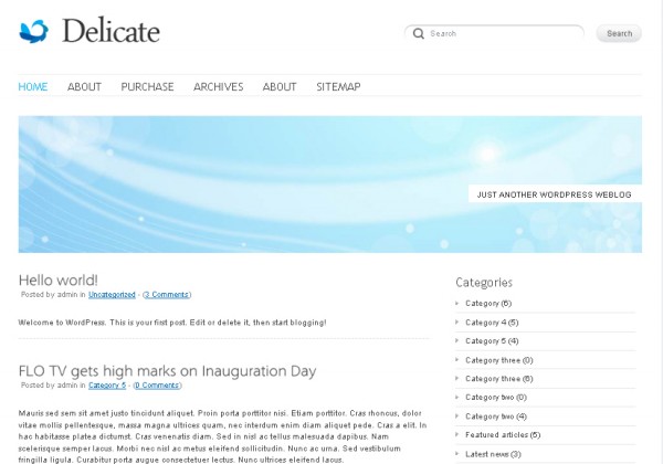 WordPress Theme Delicate