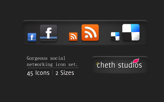 gorgeous social networking icon set