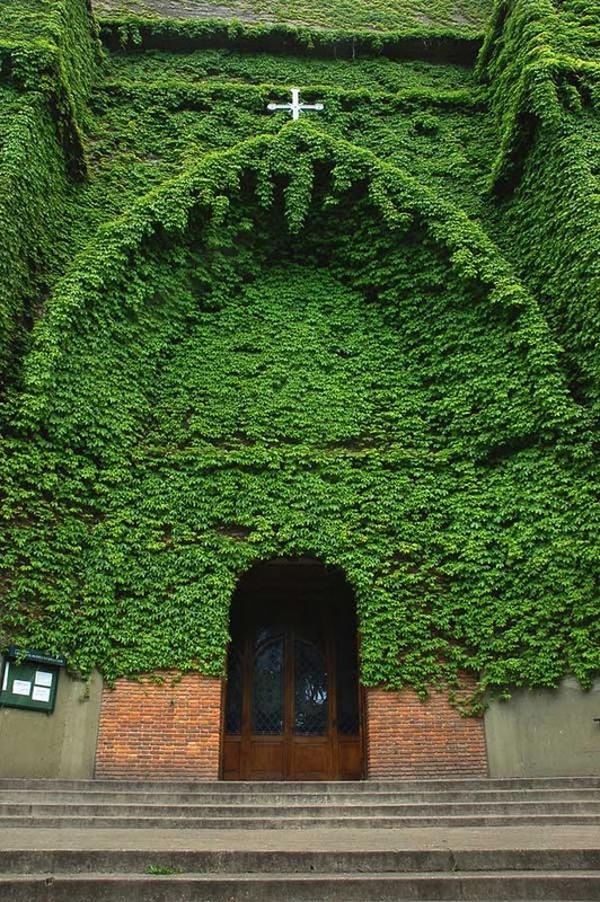 a igreja verde argentina