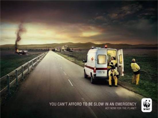 wwf emergency